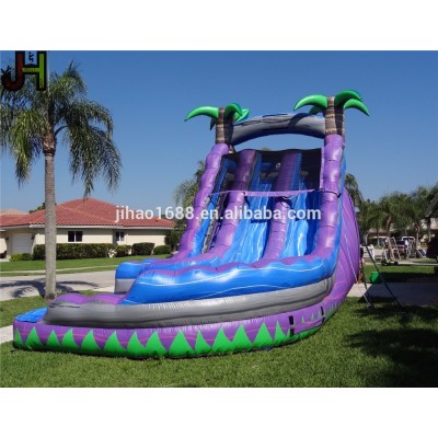 Twist Inflatable Water Slide Kids Inflatable Double Lane Water Slides